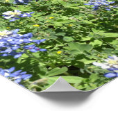 Activiteiten in de omgeving van Texas Bluebonnet W Poster (Hoek)