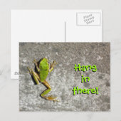 Activiteiten in de omgeving van There Frog Briefka Briefkaart (Voorkant / Achterkant)