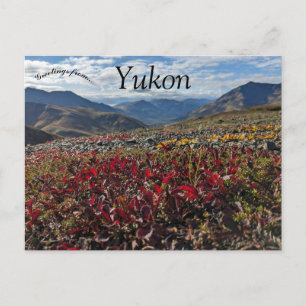 Activiteiten in de omgeving van Tombstone Territor Briefkaart