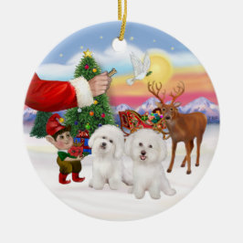 Activiteiten in de omgeving van Two Bichon Frise Keramisch Ornament