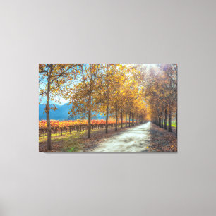 Activiteiten in de omgeving van Vineyard Autumn Canvas Afdruk