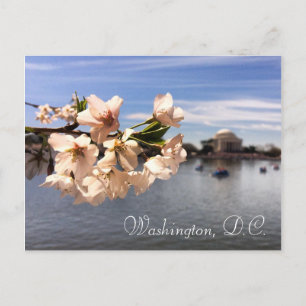 Activiteiten in de omgeving van Washington D.C. Ch Briefkaart