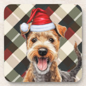 Activiteiten in de omgeving van Winter Theme Lakel Bier Onderzetter (Voorkant)