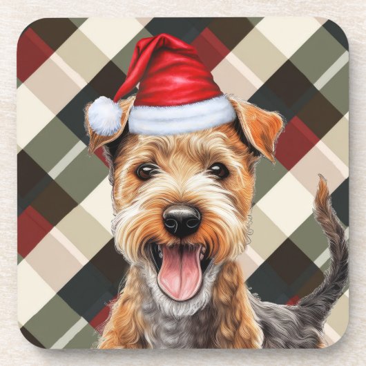 Activiteiten in de omgeving van Winter Theme Lakel Bier Onderzetter (Voorkant)