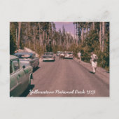 Activiteiten in de omgeving van Yellowstone Nation Briefkaart (Voorkant)