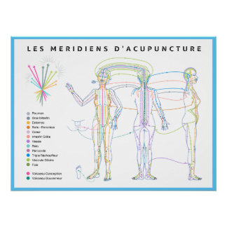 Acupuncische Poster Perfect Poster