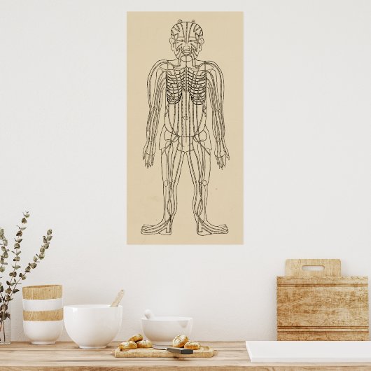 Acupunctie Meridian Pathways Points Poster (Keuken)