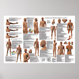 Acupunctie Meridian Point Locations Poster