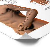 Acupunctie Meridian Point Locations Poster (Hoek)