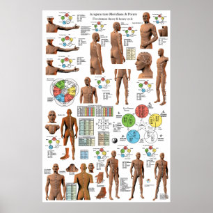 Acupunctie Meridian Points en Pathways Poster