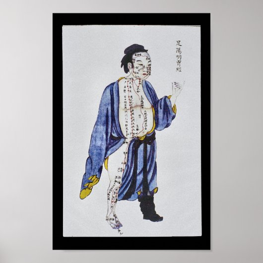 Acupunctie Stomach Meridian Foot Yangming Poster (Voorkant)