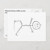 Acupunctieplek Briefkaart (Voorkant / Achterkant)