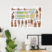 Acupunctieschema Meridian Points - Classificatiesc Poster (Thuiskantoor)