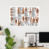 Acupuncture Meridian Poster des emplacements de po (Bureau à domicile)