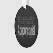 Acupuncturist Extraordinaire Ornament (voorkant)