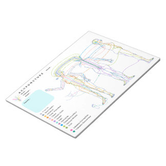 acupunctuur, acupunctuurkast notitieblok