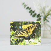 AD-Yellow Swallowtail Butterfly Briefkaart (Staand voorkant)