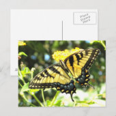 AD-Yellow Swallowtail Butterfly Briefkaart (Voorkant / Achterkant)