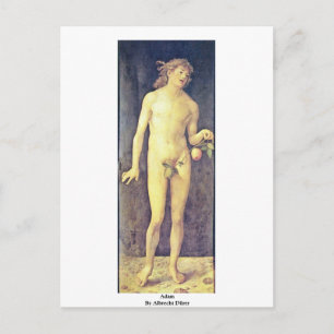 Adam By Albrecht Dürer Briefkaart