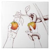 Adam en Eva met de slang Tegeltje (Voorkant)