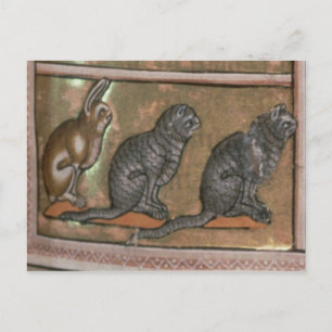 Adam noemde de dieren uit Noord-Midlands Briefkaart