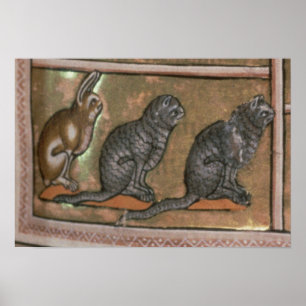 Adam noemde de dieren uit Noord-Midlands Poster