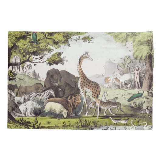 Adam noemt de schepselen kussensloop (Achterkant)