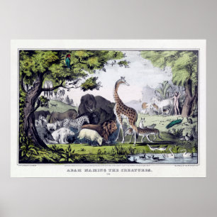 Adam Nomme Le Poster vintage Animaux