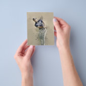 Adam Scott - Impressive player Flyer (Hand)