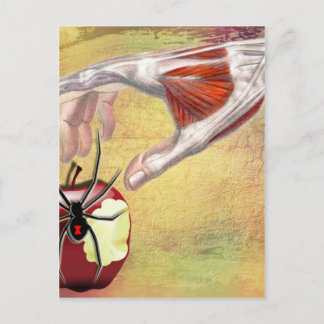 ADAM'S APPLE.jpg Briefkaart