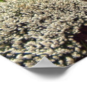 Adare Gate Cottage Imprimer ou poster (Coin)