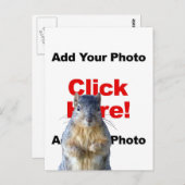 Add A Squirrel Custom Photo Postcard Briefkaart (Voorkant / Achterkant)