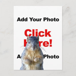 Add A Squirrel Custom Photo Postcard Briefkaart
