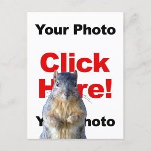 Add A Squirrel Custom Photo Postcard Briefkaart
