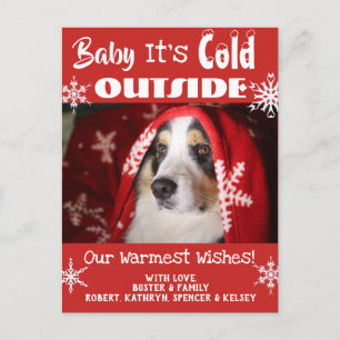 Add Pet Photo "Baby It's Cold Outside" Holiday Briefkaart
