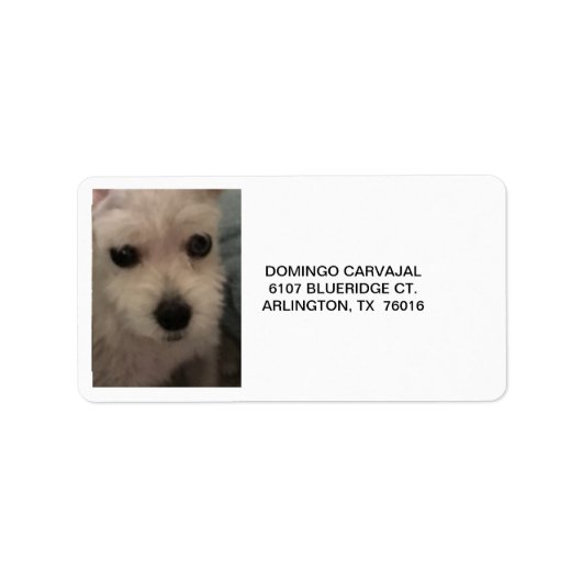ADDRESS LABELS W/SCHNAUZER (Voorkant)