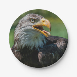 adelaar foto papieren bordje