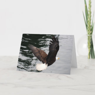 adelaar het stijgen kaart