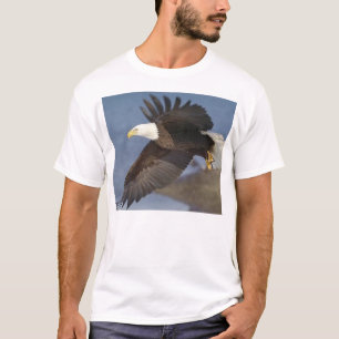 adelaar t-shirt