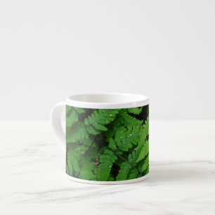 Adelaarsvaren met regendruppels, Washington State Espresso Kop