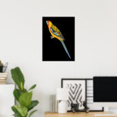 Adelaide Rosella - Platycerus elegans adelaidae Poster (Thuiskantoor)