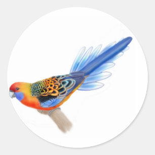 Adelaide Rosella-Sticker Ronde Sticker