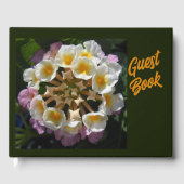 Adelaparre Gastenboek (Voorkant)