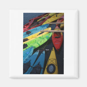 Adelavontuur wacht! magneet