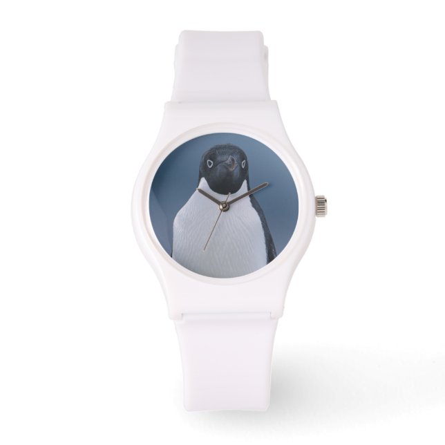 Adelie Penguin over ijs Horloge (Voorkant)