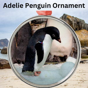Adelie Penguin Premier Ornement