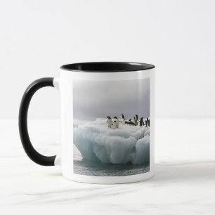 Adelie Penguin Pygoscelis adeliae), Mok