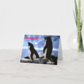 Adelie Penguins dans l'Antarctique Carte de voeux (Devant)