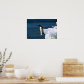 Adelie Penguins die uit een ijsberg komen Poster (Keuken)
