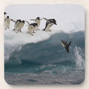 Adelie Penguins duikt in zee Paulette Bier Onderzetter